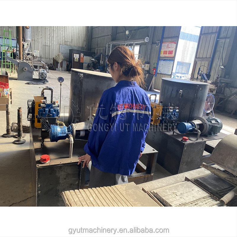 50 mm Diameter Hydraulische biomassa Houtsplinten Strooi Hout Briquetteringspers in de VS Spanje