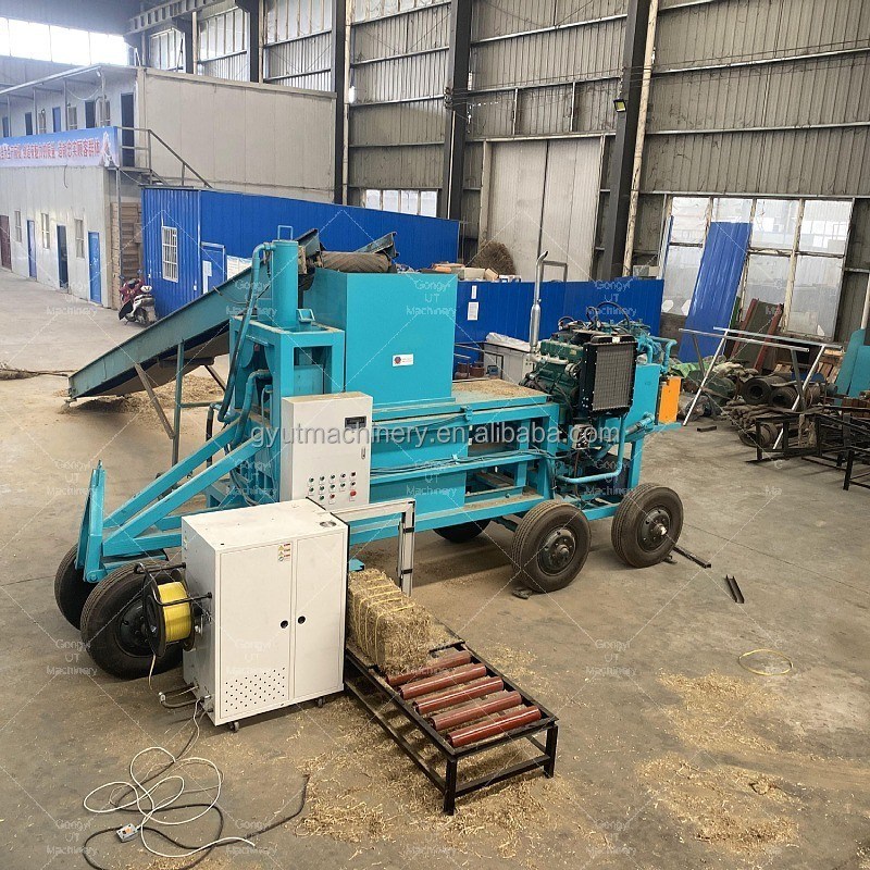 Hydraulische balenmachine voor gras, hooi, rijst, silage, balen van 600*400*300 mm