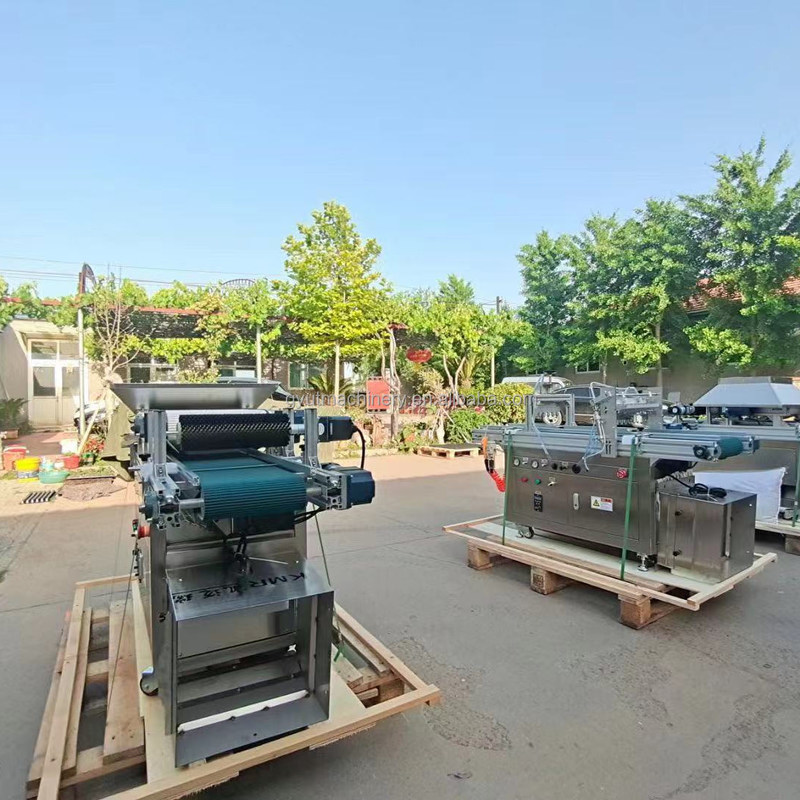 Tomatenzaaier 120 bak Saladzaad Groentenzaadplanter voor plastic bak