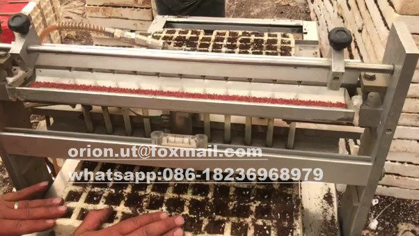 Tomatenzaaier 120 bak Saladzaad Groentenzaadplanter voor plastic bak