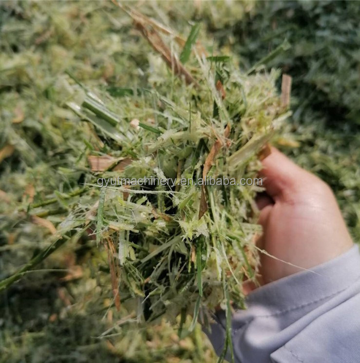 Eerste klas mini-voedermaaier strooibreedmachine voor het snijden van gras voor vee in Pakistan