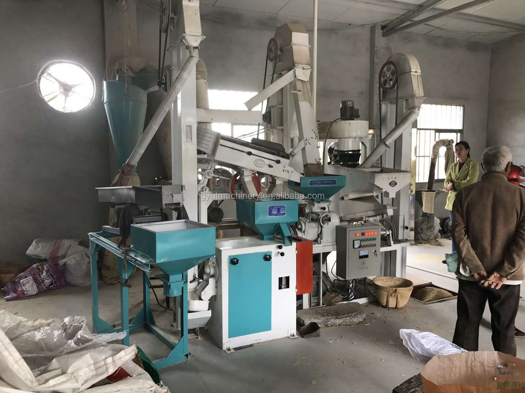 20 ton rijstmeel malerij met kleur sorter concurrerend en grondstof rijst