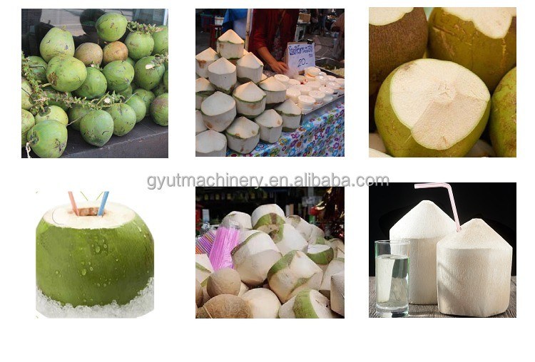 Verbeter je sliver productie spel met 0,8kw groene kokospeeler trimmen Dehusker