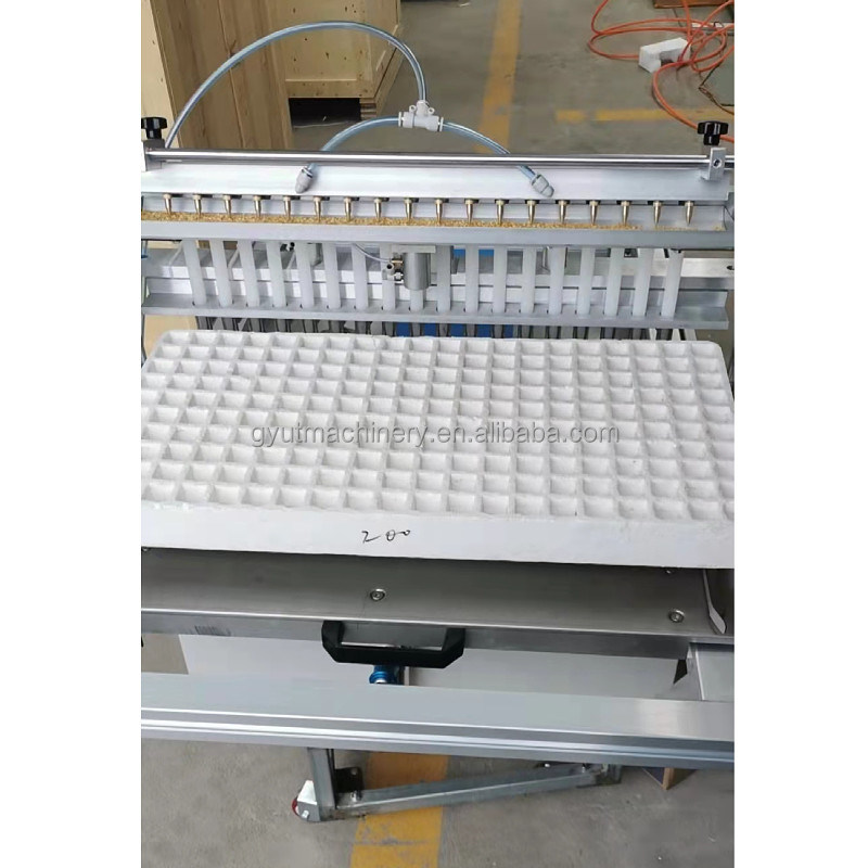 0.55-0.7ha/dag Werkefficiëntie Groentezaadplanter Geschikt voor tomatenzaaien