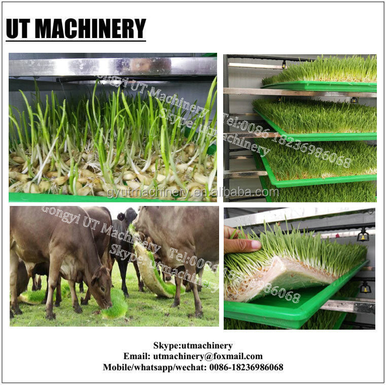 Verwerkingsapparatuur voor bonenwortels voor dagelijks waterverbruik van 3m3