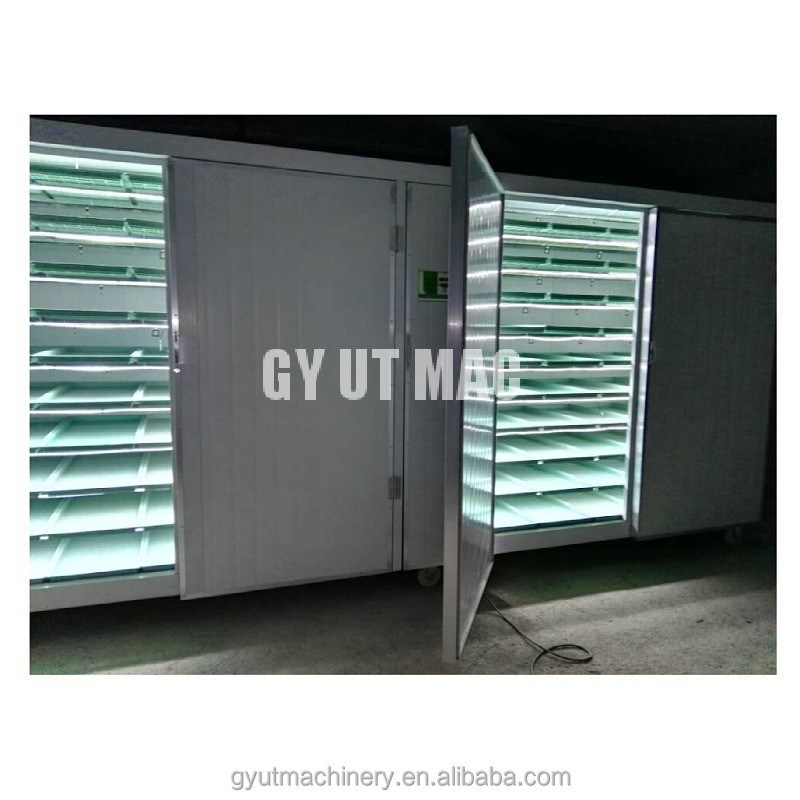 500 kg/dag Capaciteit Muti-laag Container type Gerst microgreen groeiende kiemen Machines