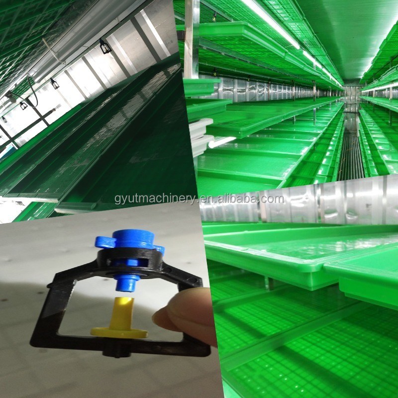 500 kg/dag Capaciteit Muti-laag Container type Gerst microgreen groeiende kiemen Machines