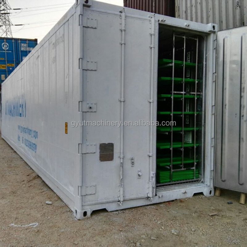 Multifunctie 20GP Hydroponic Shipping Container Farm voor thuis 1200KG Gewicht Groenvoer