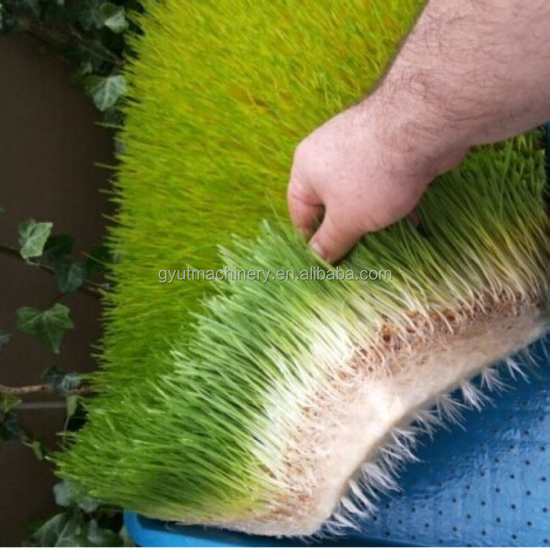 Hoogwaardige microgreens Groenteverbouwing Hydroponics machines voor machinewerkstations