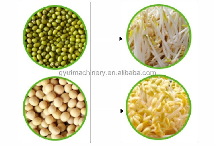 Hoogwaardige microgreens Groenteverbouwing Hydroponics machines voor machinewerkstations