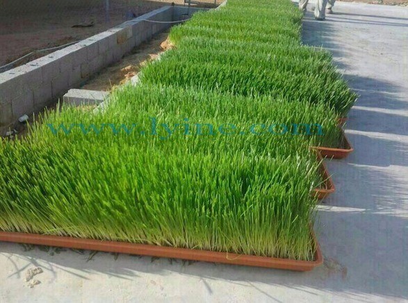 2024 Advertentie C oogstmachines voor oogsten Aquaponics Microgreens Producten